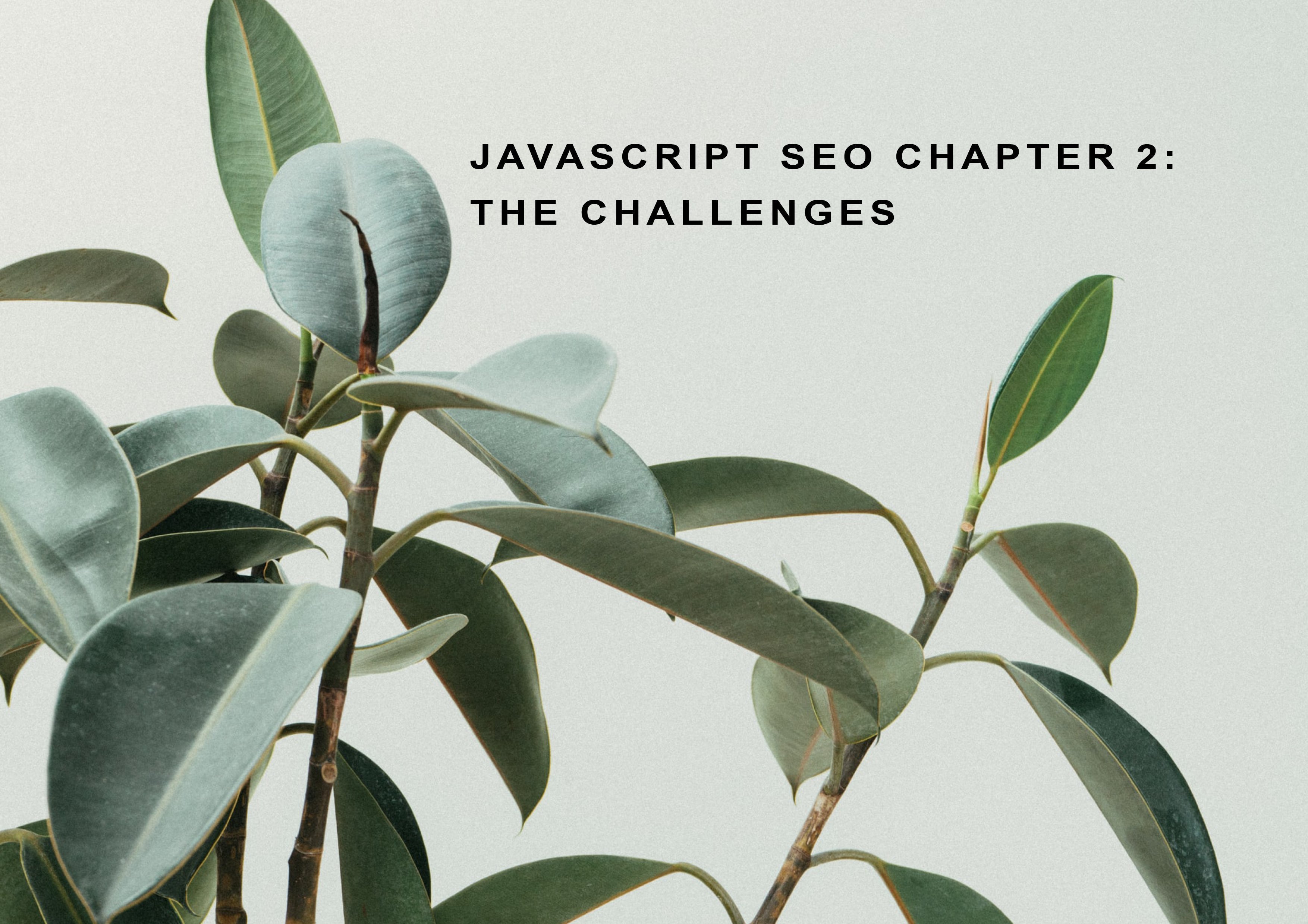 Javascript SEO Part 2: Can Google Index Javascript?